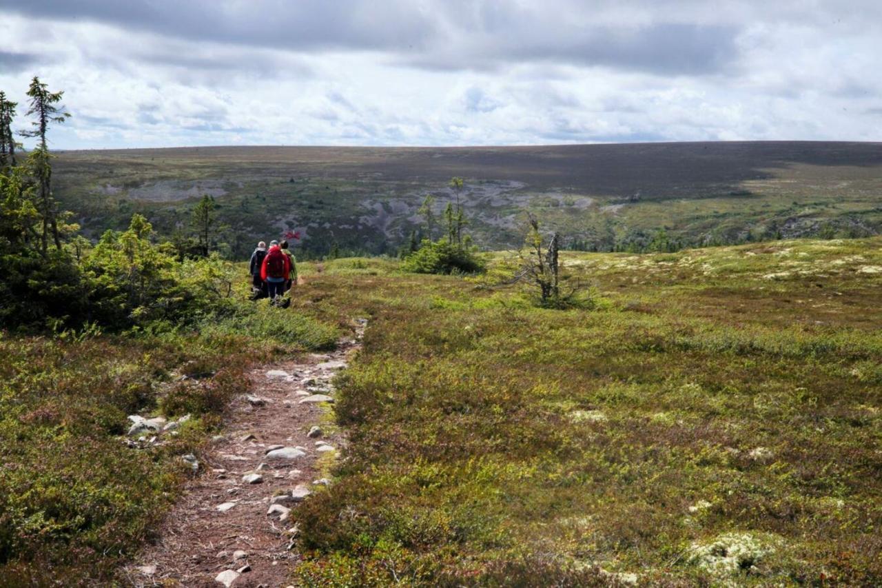 Stuga Saelen Klaeppen 5 Baeddar Uthyres Veckovis Soendag - Soendag Buitenkant foto